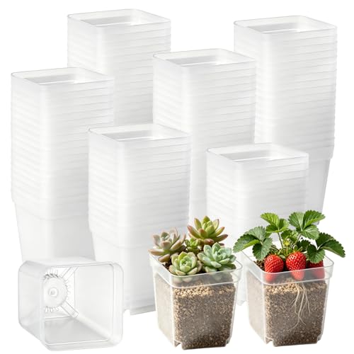 240 Pcs 3" Clear Square Nursery Pots, Seed Starter with Drainage Holes - color: Clear
