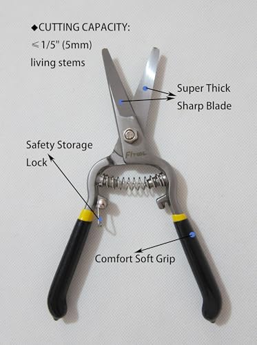Forged Needle Nose Precision Clippers, Grape Vegetables Flowers Pruning Shear, Ergonomic handle with Soft Grip, Straight Blade Harvesting Scissors 8-Inch (Straight) - style: Straight