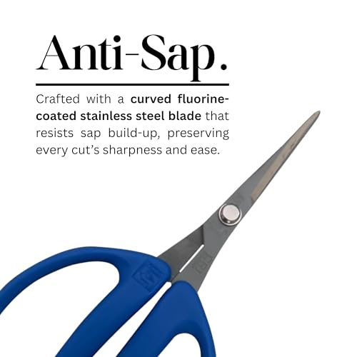 CHIKAMASA CRI-550SRF(Blue), The Specialty Trimming Precise Scissors, Stainless Steel with Fluorine Coating, Curved Blade for Trimming, harvesting vegetables and fruit, wide gardening use. - color: Silver/Blue