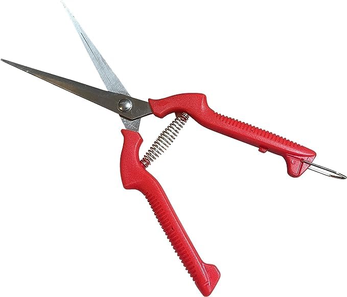 GARDEN GURU Extra Long Stainless Steel Pruner Pruning Shears Clippers Snips – Sharp Bonsai Cutter Trimming Scissors – Straight Blade Garden Scissors Tool – Great for Flowers Herbs - 1 Case (50 Pcs) - size: 50 Pack, style: Long Blade Snips
