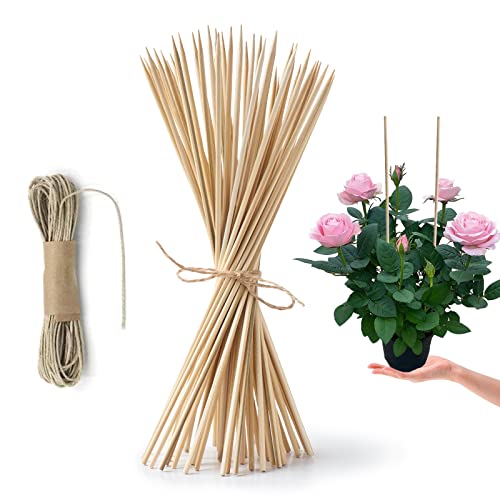HOPELF 50 Pack 12" Bamboo Plant Stakes for Wood Garden Sticks，Wooden Plant Supports，Indoor Gardening Plant Supports，Floral Plant Support ，Potted Plants，Crafts, More Size Choices 8"/12"/16" - color: bamboo, size: 12 inch