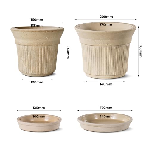 White Terracotta Pots 2 Pack 6 & 8 Inch Ceramic Planters