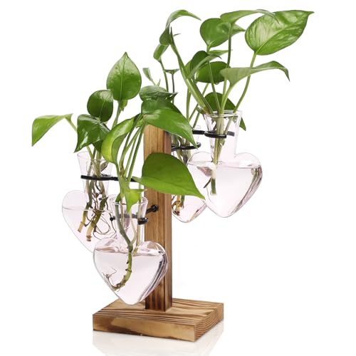Plant Terrarium Propagation Stations with Wooden Stand - color: Pink