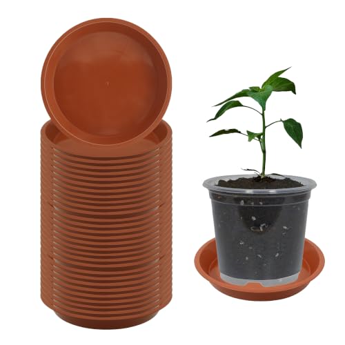 30 Pcs 4 Inch Plant Saucers for Less 3 Inch Pot Indoors Outdoors Plant Trays for Pots Planter Saucer Plastic Plant Drip Tray Flower Planter Water Tray for Potted Plants (Terracotta, 4 Inch) - color: Terracotta