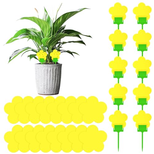 Qualirey 100 Pcs Fungus Gnat Sticky Traps Yellow Flower Shape for Plants