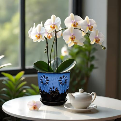 6 inch Orchid Pots with Holes Blue Black Ceramic Orchid Pot for Repotting - color: Blue&black