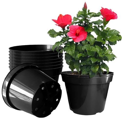 RooTrimmer 10 Inch Plastic Nursery Pots for Plants 10 Pack Plant Pots with Drainage Holes 2 Gallon Nursery Pots Perfect for Indoor Outdoor Plants Such as Herbs, Strwaberrys and Flowers, Black - color: Black, size: 10 Inch 10 Pack