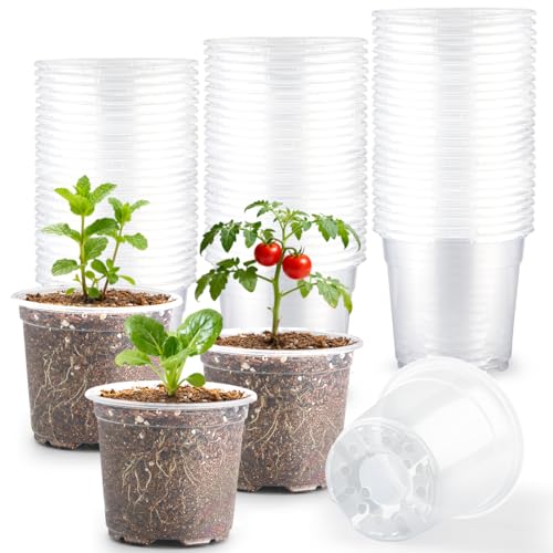 RooTrimmer 200 Pack 4 Inch Clear Plant pots with Drainage Holes, Transparent Nursery Seeding Pots, Flexile Seeds Starter Pots, Seeds Germination (4Inch,200P,Clear) - size: 4 Inch 200P