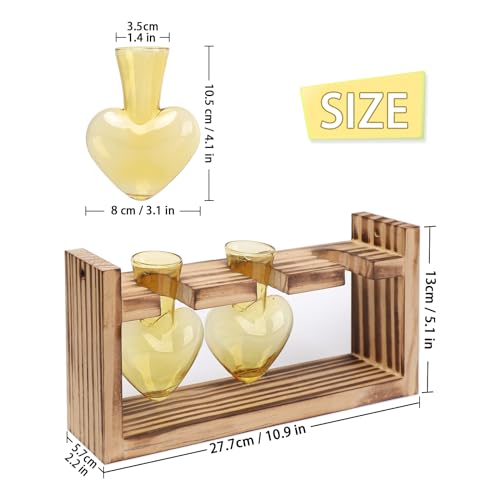 Plant Terrarium Propagation Stations Hydroponics - color: Gold