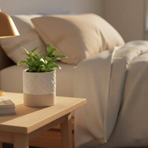 Nihow Self Watering Ceramic Plant Pot, 4.5 Inch, Matte White & Brown Star - color: Matte White & Brown Star, size: 4.5" Self Watering