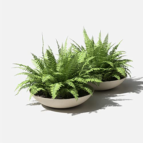 Veradek Mason Series Lane Bowl - Large Outdoor Bowl Planter - color: Sand, size: 8"H x 32"DIA 2PK