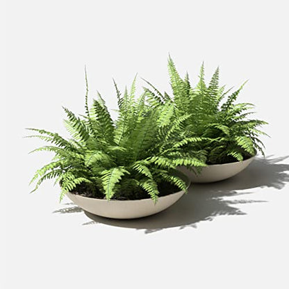 Veradek Mason Series Lane Bowl - Large Outdoor Bowl Planter - color: Sand, size: 8"H x 32"DIA 2PK