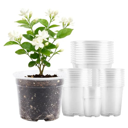 40 Pcs Clear Nursery Pots , 2.5/3.5/4/5 In clear nursery pots with drainage - size: Size A