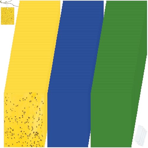 Qualirey 100 Pcs 6x8 Inch Yellow Blue Green Sticky Traps for Gnats - color: Yellow,Blue,Green