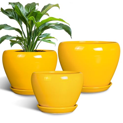 Ceramic Planters Set of 3, 10+8+6 Inch Plant Pots Indoor, Yellow - color: Bright Yellow