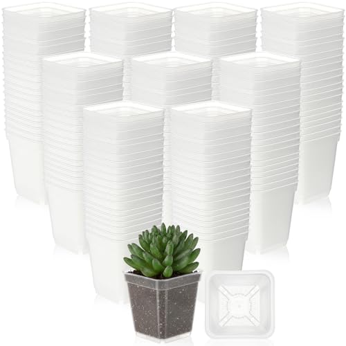 Yaomiao 200 Pack 3 Inch Clear Nursery Pot Square Flower Pots Plastic Plant Succulent Planter Seed Starting Pots with Drainage Holes for Garden Office Balcony Decor Indoor Outdoor Plant Seedling - color: Clear