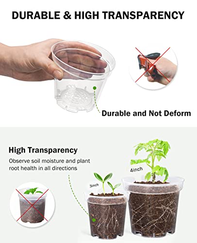 homenote 4 Inch Clear Nursery Pots for Plants with 20 Plant Labels (60 Pcs) - color: Transparency-no Lid, size: 4 Inch-60 Pack