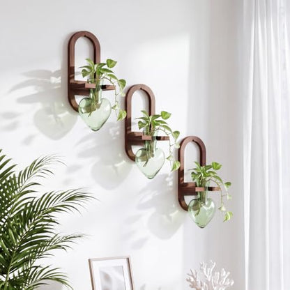 Hushee 3 Set Plant Propagation Station for Wall Hanging with Wooden Stand