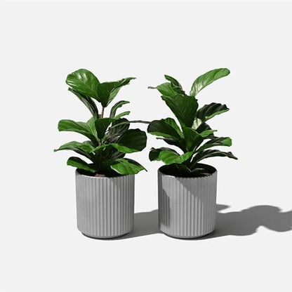 Veradek Demi Series Planter - Large Round Outdoor Planter - color: Gray, size: 12 inch - 2 Pack