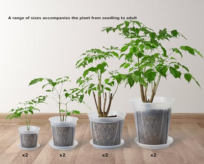 Clear Plant Nursery pots with Saucers,5/6/7/8 inch 8 Pack - size: 5/6/7/8 inch with trays