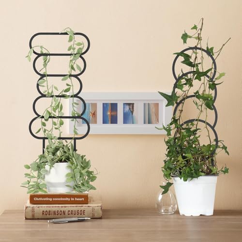 4 Pcs Plant Trellis Indoor Black Small Trellis for Potted Plants - style: Style 2