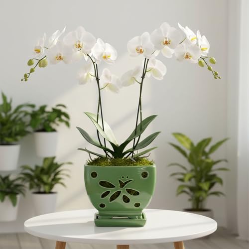 Orchid Pots with Holes Ceramic Orchid Planter Pots Square 5.5 inch (Green) - color: Green