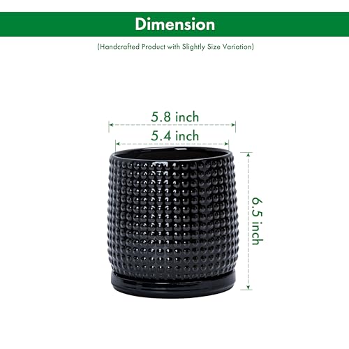D'vine Dev Beaded Ceramic Pot with Saucer, 6 in, Glossy Black, 27-C-X-2 - color: Glossy Black, size: 5.8 Inch