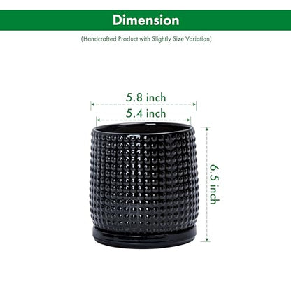 D'vine Dev Beaded Ceramic Pot with Saucer, 6 in, Glossy Black, 27-C-X-2 - color: Glossy Black, size: 5.8 Inch