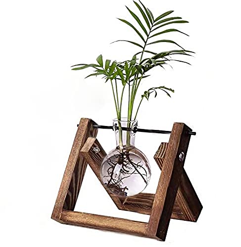 Kingbuy Plant Propagation Station Bulb Vase, 1 Bulb Vase - size: 1 Bulb Vase