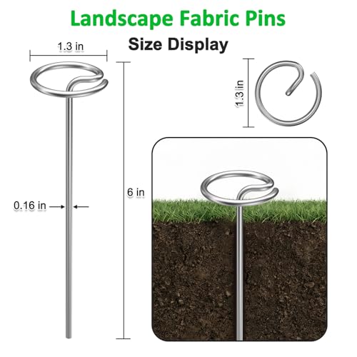 25 Pcs 6-Inch Heavy-Duty Galvanized Landscape Staples – Thickened 8 Gauge Circle Top Pins, Rust-Resistant for Weed Barrier, Landscape Fabric, and Garden Projects - size: 6 in 25 PCS