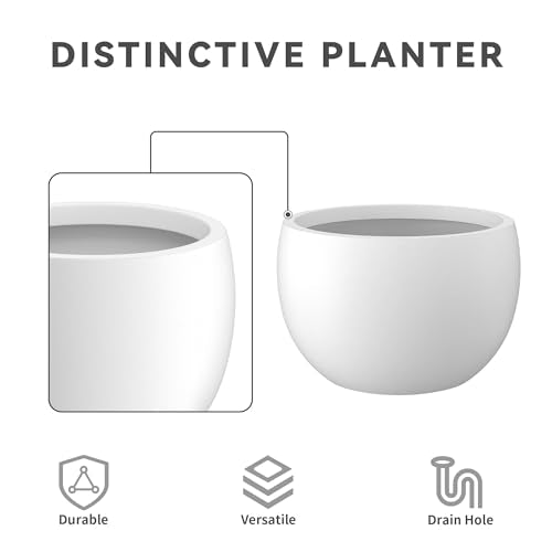 Kante Small Round Bowl White Concrete Planter 11.8" Dia, Outdoor - color: Pure White, size: 11.8" d