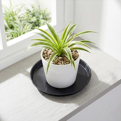 30 Pack Plant Saucer 12 Inches Plastic Drip Trays to Catch Water, Black - color: Black, size: 12 inch