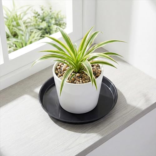 30 Pack Plant Saucer 6 Inches Plastic Drip Trays to Catch Water, Black - color: Black, size: 6 inch