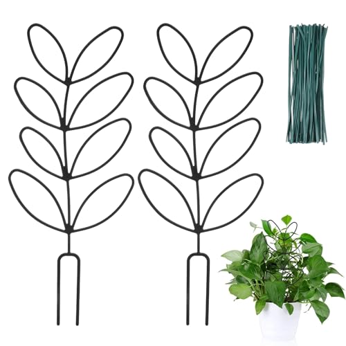 2 Pack Small Plant Trellis for Pots Indoor
