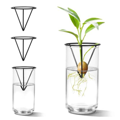 4Pcs Avocado Seed Starter vase Holders That can be Used as Propagation Kits for Plant Propagation vases, not only for Avocados but Also for Other Similar Plants (Carrots, Sweet Potatoes, etc)