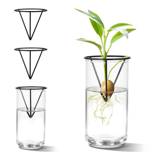 4Pcs Avocado Seed Starter vase Holders That can be Used as Propagation Kits for Plant Propagation vases, not only for Avocados but Also for Other Similar Plants (Carrots, Sweet Potatoes, etc)