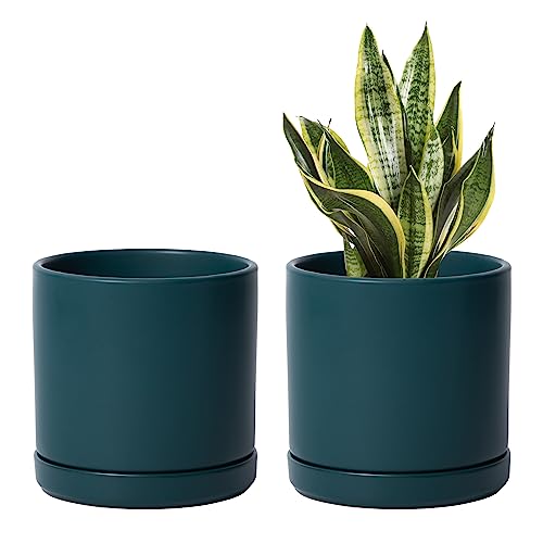 D'vine Dev 2-Pack Ceramic Pots with Saucers, Teal, 6 in, 94-V-C-9 - color: Teal, size: 6 Inch