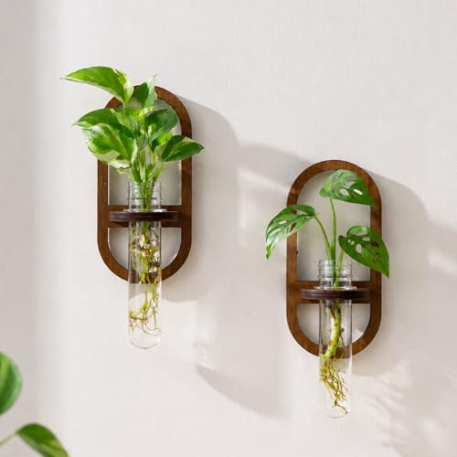 Artilady Plant Propagation Station Wall Hanging, Planter Terrariums Tube - color: Oval