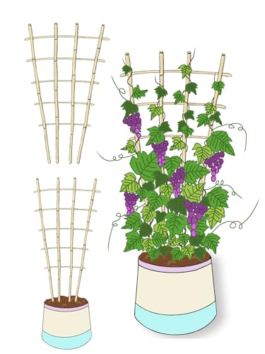 Natural BambooTrellis,4.8Feet,3Pack,GUANGYE,Fan-Shaped Plant SupportTrellis - style: 4.8Feet,3Pack