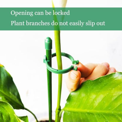 Belit 8 Pack Small Plant Support Plant Stakes, Adjustable Garden Single Stem Support Stake, Planter Support Ring for Orchid, Rose, Peony, Peppers and More, DIY 31.5 inch - size: 31.5Inch