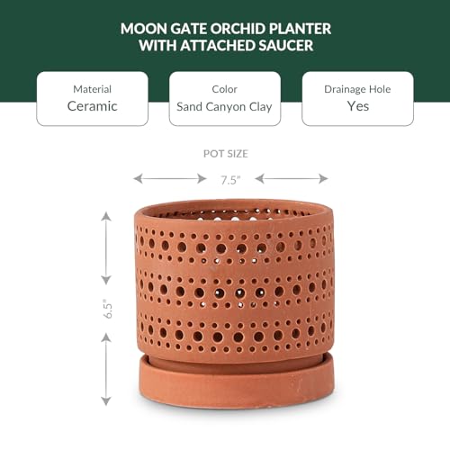 LE Beau Ceramic Moon Gate Orchid Planter with Attached Saucer - Sand (Sand Canyon Clay, 7.5" D x 6.5" H (Single Pot)) - color: Sand Canyon Clay, size: 7.5" D x 6.5" H (Single Pot)