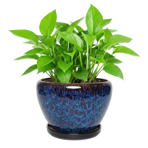 Ceramic Planter with Saucer for Indoor Outdoor Plants (Blue, 8.7 Inch) - color: Speckled Blue, size: 8.7 Inch