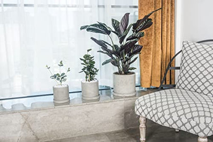 Ekirlin 9 Inch Flower Plant Pot Indoor - Grey Cement Garden Planter Concrete Planter with Drain Hole Saucer, Modern Succulents Containers for Home Decor, Office & Outdoor - size: 9 inch single