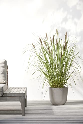 Ecopots Oslo Round Flower Planter, Taupe, 10" - color: Taupe, size: 10"
