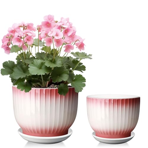 Ceramic Plant Pots, Set of 2, Pink + White, 6.7 + 5.5 Inch - color: Pink + White