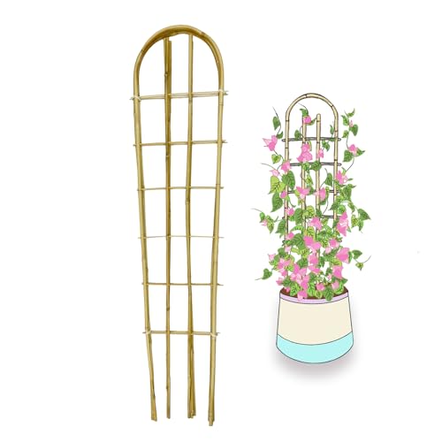 Bamboo Trellis,U-Shape Bamboo Trellis,4Feet,3pack,for Climbing Plants Outdoor Bamboo,for,Climbing Plants,Tomato, Vegetables,Flowers, Beans, Cucumber,Indoor Potted Climb Plants - style: U-Shape,4Ft,3Pack