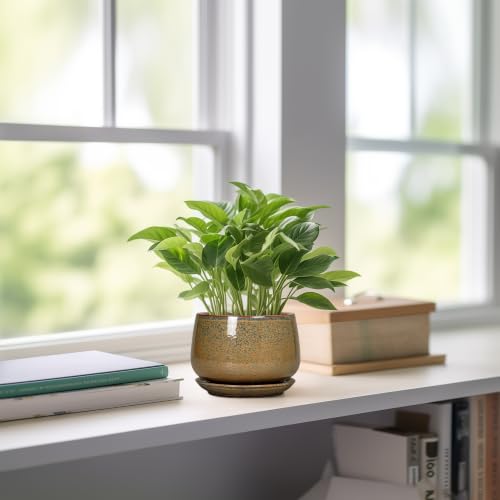 G EPGardening Ceramic Pots for Plants, 4 Inch, Speckled Brown - color: Speckled Brown, size: 4 Inch
