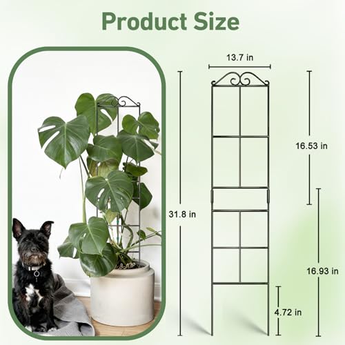 31.8'' Stackable Plant Trellis Indoor, Metal Trellis for Climbing Plants Indoor, House Plant Support with Soft Ties for Monstera Hoya Pothos, 2P - size: 31.8in/2p