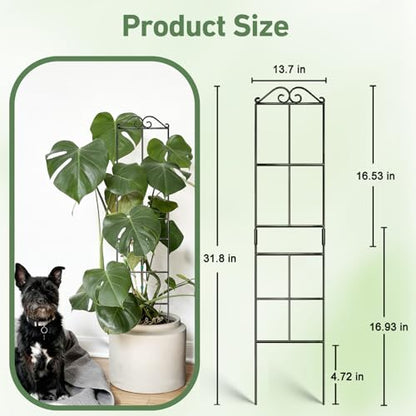 31.8'' Stackable Plant Trellis Indoor, Metal Trellis for Climbing Plants Indoor, House Plant Support with Soft Ties for Monstera Hoya Pothos, 4P - size: 31.8in/4p