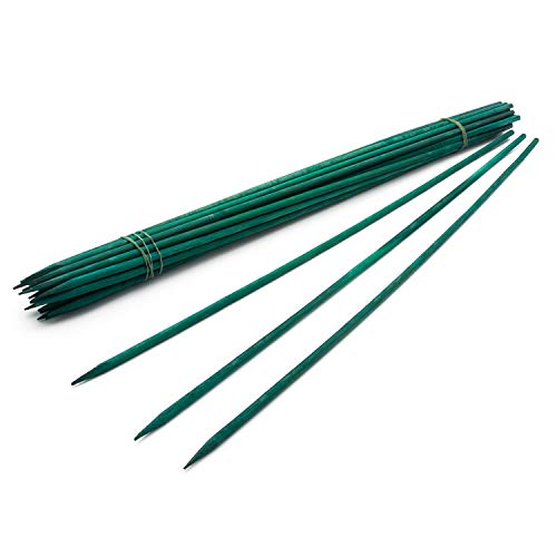 Royal Imports Wood Plant Stake 12" Floral Picks Sign Posting Garden Sticks - size: 12 inch - 25 Pack